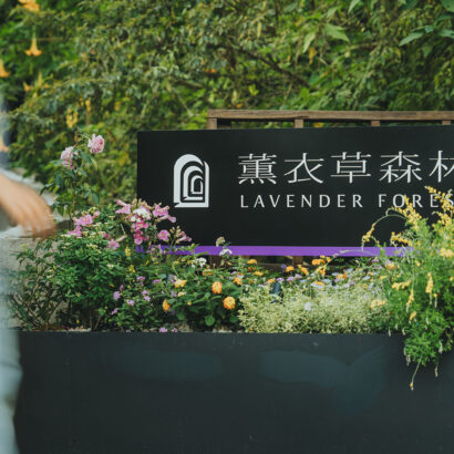 薰衣草森林品牌重塑｜園區空間改造｜售票處